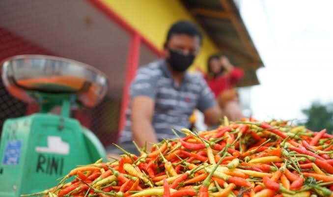 img-berita